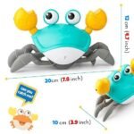Crawling Crab Toy